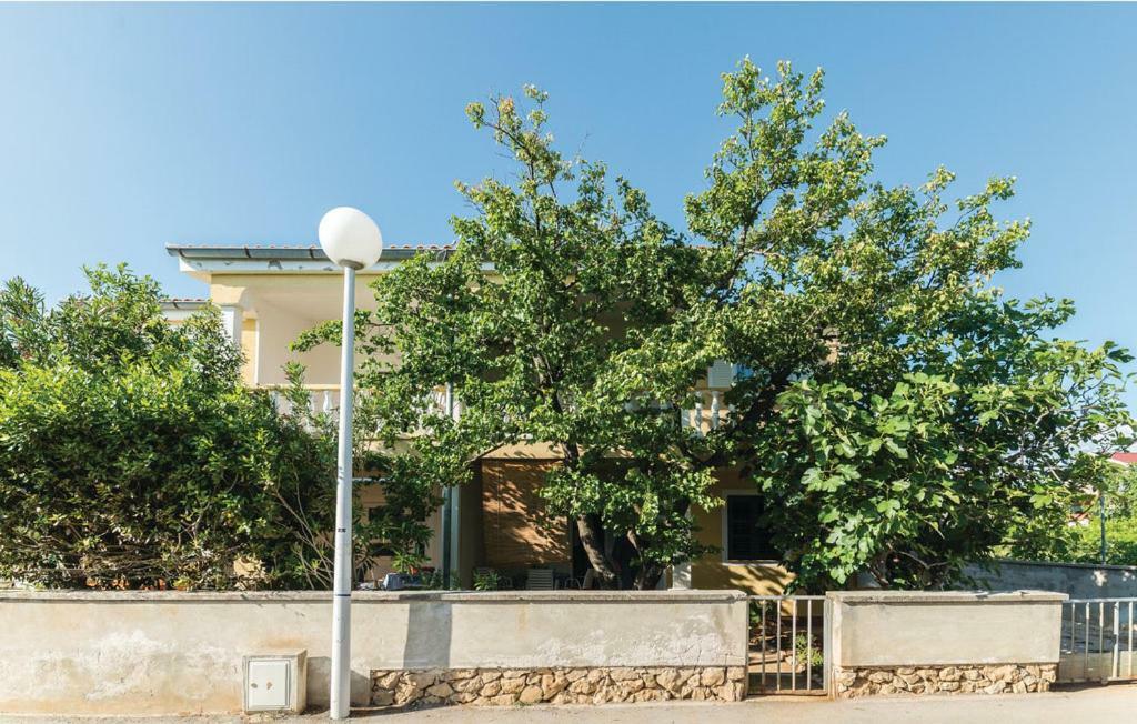 Appartement Apartman Ivanka à Vir Extérieur photo